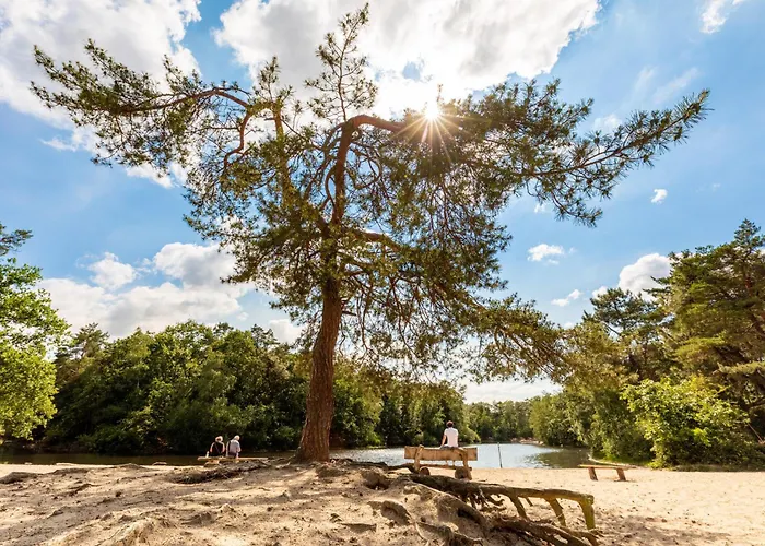 Maison d'hôtes B&k Urban Tilbourg