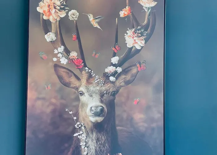 B&k Urban Maison d'hôtes Tilbourg